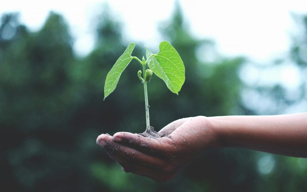 Navigating Life’s Challenges: The Power of Resilience
